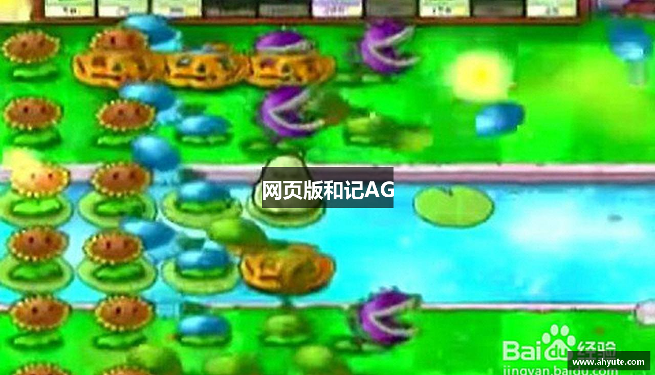 网页版和记AG